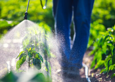 HEBM-AI: Natural Fertilizer & Pesticide