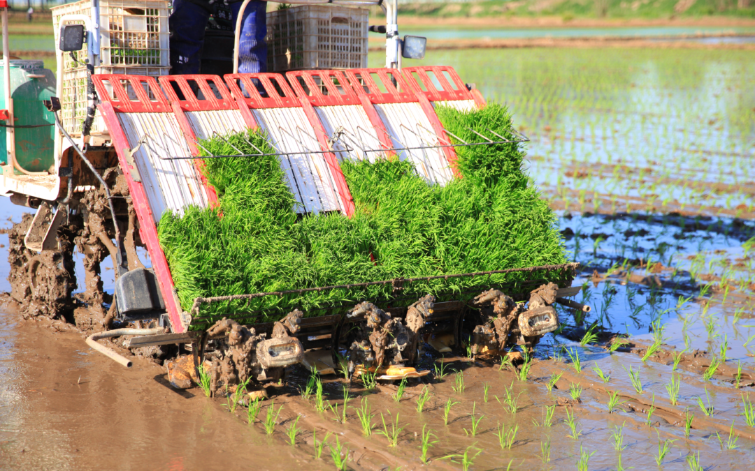 Rice Planting Equipment Enterprise