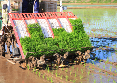 Rice Planting Equipment Enterprise